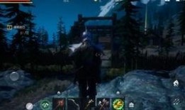 龙公子最新爆料视频大全,揭秘娱乐圈幕后真相