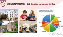 英国财经最新爆料视频,独家视频爆料解析