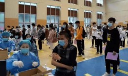 小羊事件爆料最新消息视频,视频揭露惊人内幕